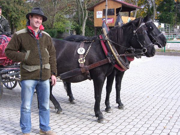 Huzulenhengst und -stute, LP in Topolcianky 2010